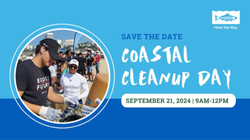 Coastal Cleanup Day