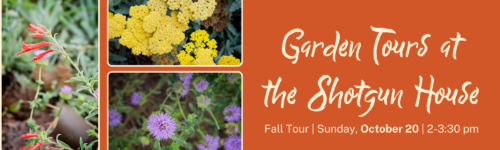 Fall Garden Tour 2024